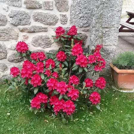Les Ducs Mialanes